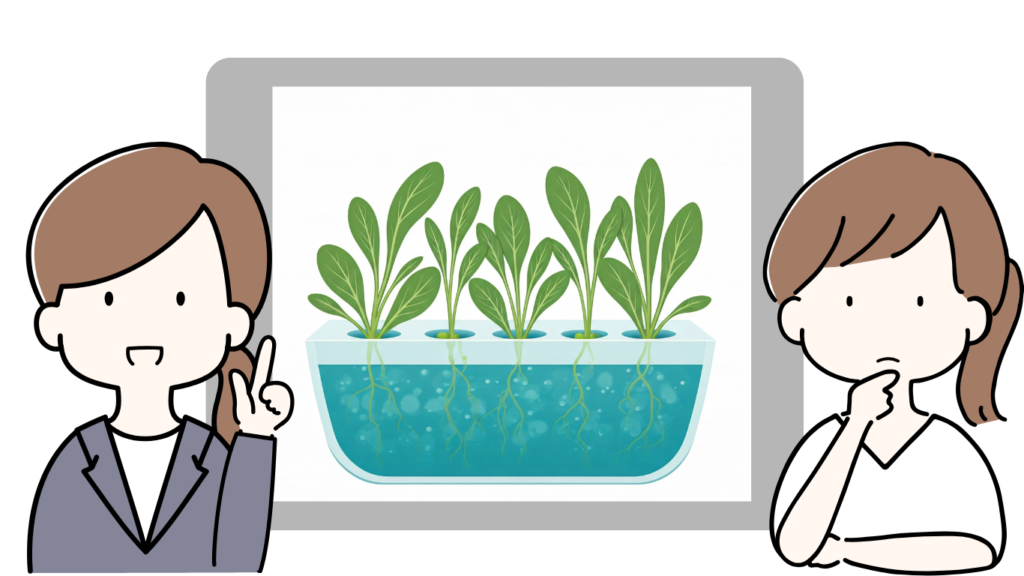水耕栽培のメリットとデメリット